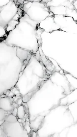 Minimalist white marble slab with fine grayscale veining pattern.