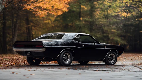 Midnight black muscle car brooding beneath autumn trees.