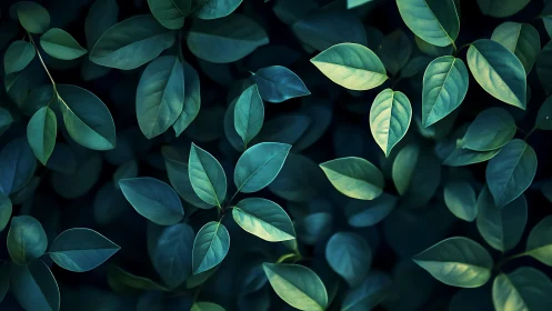 Moody green foliage glows against deep shadowed background.