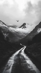 Lonely winding road into misty snowcapped highlands.