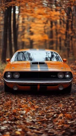 Orange classic muscle car on forest path in autumn foliage.