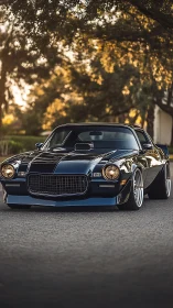 Sunlit classic muscle car on quiet suburban streetscape.