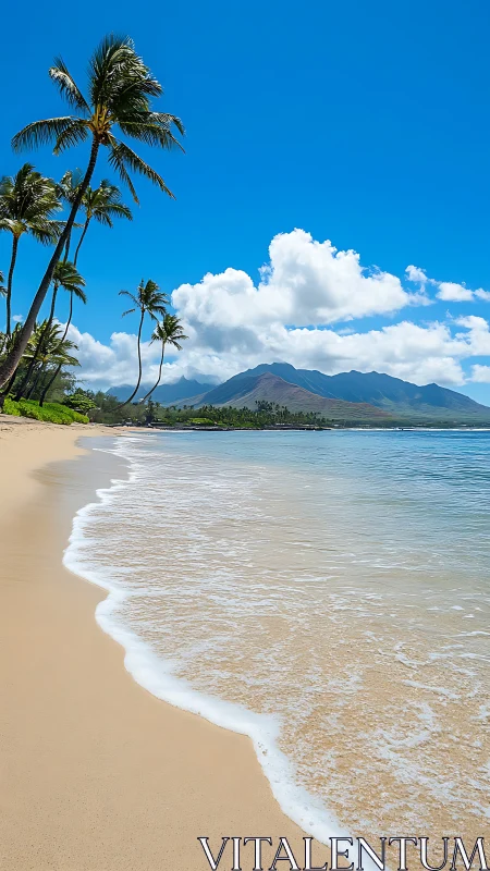 Hawaiian beach with volcanic mountain backdrop and tall palm trees