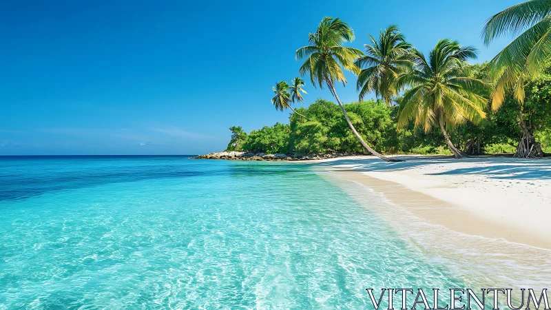 Tropical Beach with Palm Trees and Turquoise Water