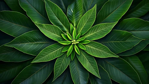 Symmetrical radial leaf rosette rendered in hyperreal detail