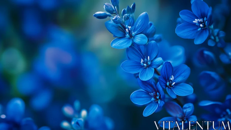 Delicate blue flowers in soft focus bokeh light.