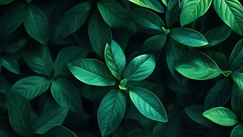 Emerald leaf chorus in moody forest-shadow glow.