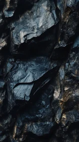 Dark textured rock wall glistens with rugged metallic sheen.