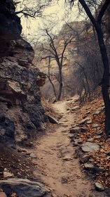 Rocky Forest Ravine with Skeletal Trees: Autumn Landscape Trail through Canyon Geology