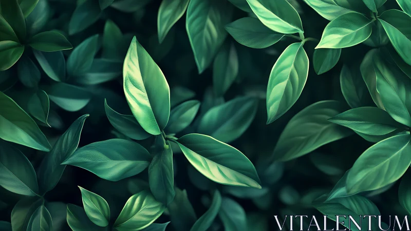 Velvet green leaves quietly rehearse a nocturnal forest waltz