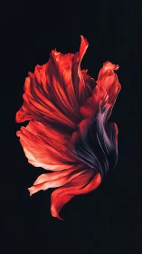 Scarlet abstract petals twist elegantly against deep black