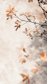 Thin branch with soft orange leaves crosses a pale wall