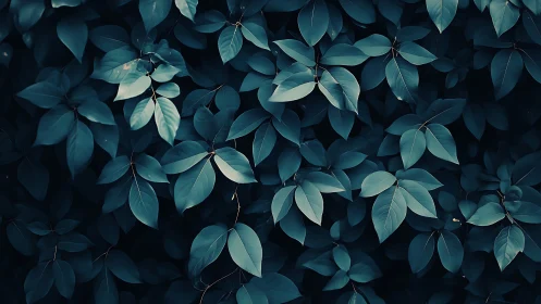 Calm teal leaves creating a soothing forest daydream.