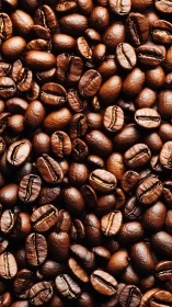 Roasted coffee beans in tight overhead macro view.