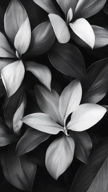 Monochrome leaves quietly choreograph a silken forest