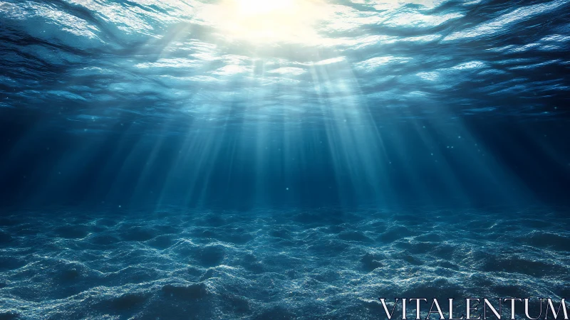 Sunlit underwater seascape with rippled sandy seafloor.