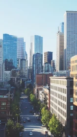 Morning light over a calm tree lined downtown street.