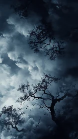 Midnight storm clouds swirling above whispering trees.