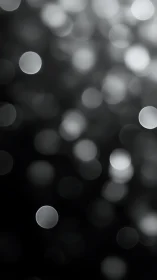 Soft monochrome bokeh orbs on deep blurred background.