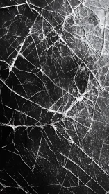 Fractured monochrome surface with chaotic linear webbing.