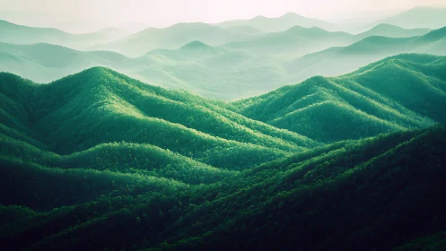 Layered forested mountain ridges under diffuse atmospheric haze.