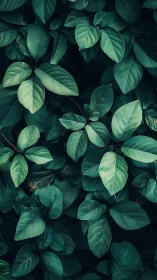 Moody botanical foliage study with layered leaf structure.