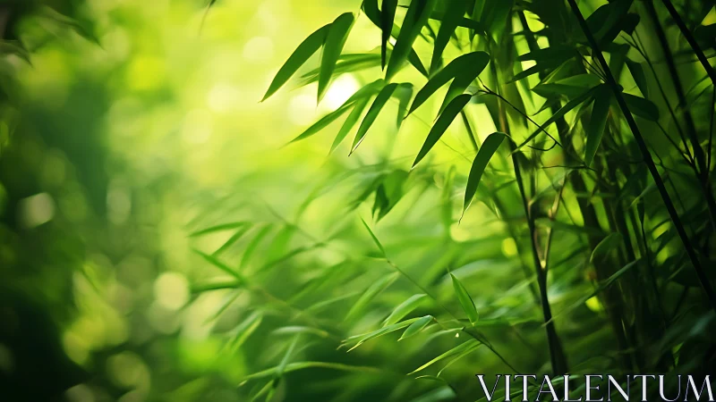Shallow‑depth bamboo foliage under diffused backlit green bokeh