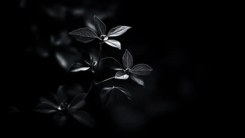 Luminescent Foliage Against Absolute Darkness: Chiaroscuro Study.