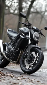 Modern naked motorcycle stands on wet road in overcast park