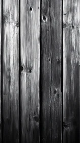 Monochrome timber wall where silver grain ripples softly.