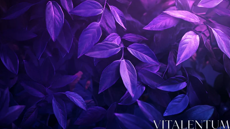 Ultraviolet foliage study with directional rim lighting and glossy textures