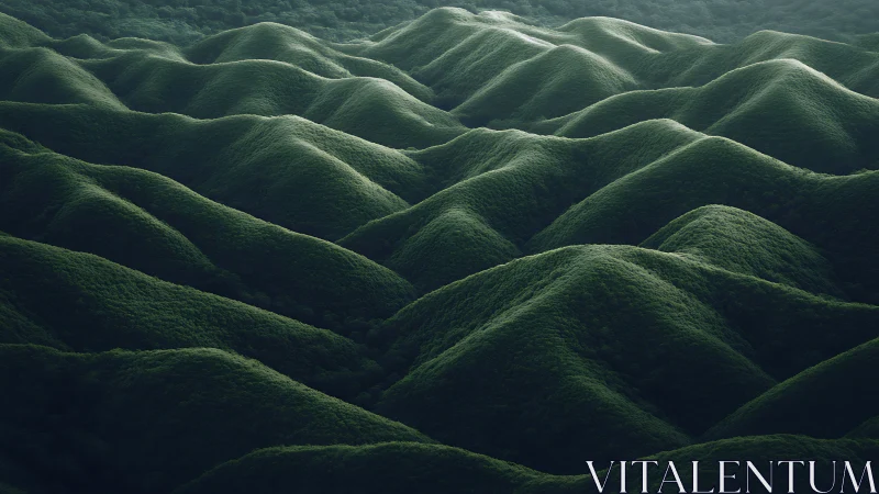Aerial view of densely forested rolling green hill ridges.