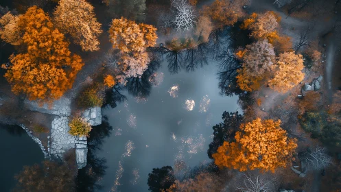 Amber treetops circling a quiet mirror pond from above.