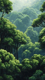 Sunlit Forest Canopy: Layered Trees in Morning Mist
