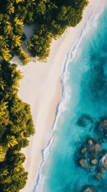 Turquoise Ribbon Meets the Jungle's Golden Crown.