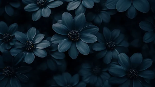 Deep teal daisy cluster with textured petals, dark atmospheric botanical composition
