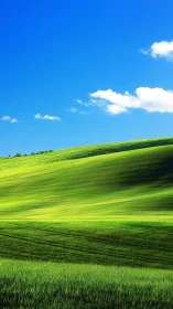Sunlit green hills roll gently beneath vivid blue sky.