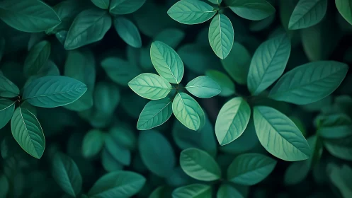 Lush green foliage forms a tranquil, softly lit canopy.