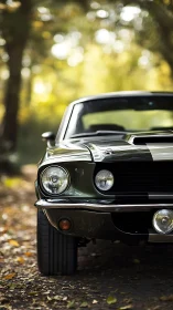 Classic muscle car front view under shallow depth of field lighting