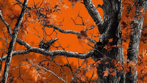 High-contrast arboreal study with saturated orange groundplane.