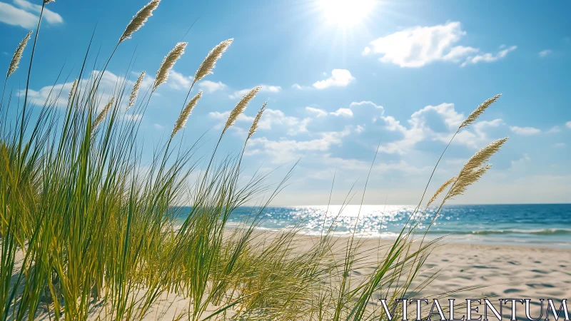 Sea breeze whispers through sunlit dune grasses by shore.