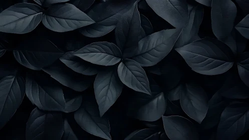 Dark monochrome foliage texture with layered leaves pattern.