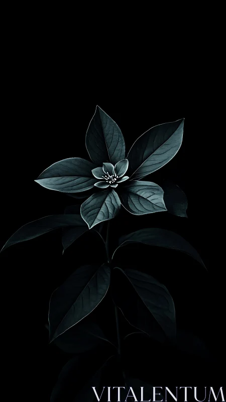 Dark botanical bloom glows softly against a pure black void