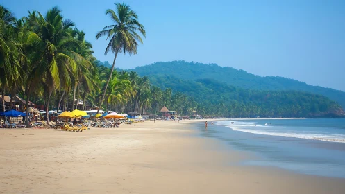 Sunlit tropical beach curves beneath lush green hills