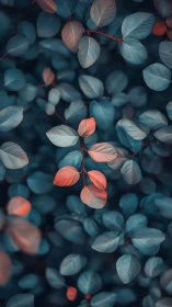 Muted close-up of blue foliage with sparse orange leaves.