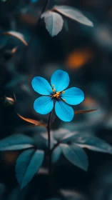 Luminous blue flower with golden stamen against blurred dark foliage.