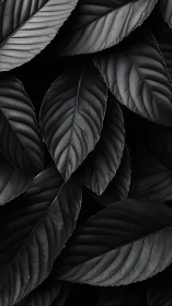 Monochrome foliage forms a dark, sculptural leaf tapestry.