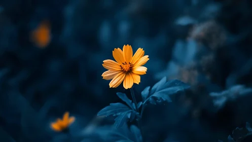 Golden Bloom Against Deep Blue Twilight.
