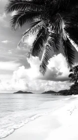 Monochromatic Tropical Seascape: Palm Fronds and Archipelago.