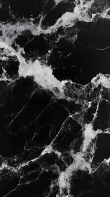 Velvety black marble surface flows with soft white veining